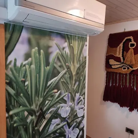 Samec Apartament