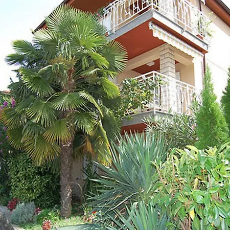 Samec Izola